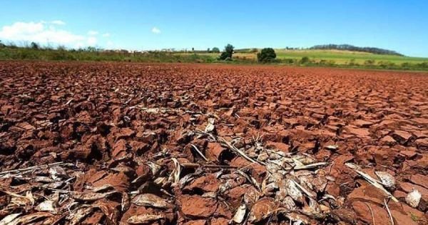 Sucho zvýši poľnohospodárske výrobky v Paraguay - Mercopress