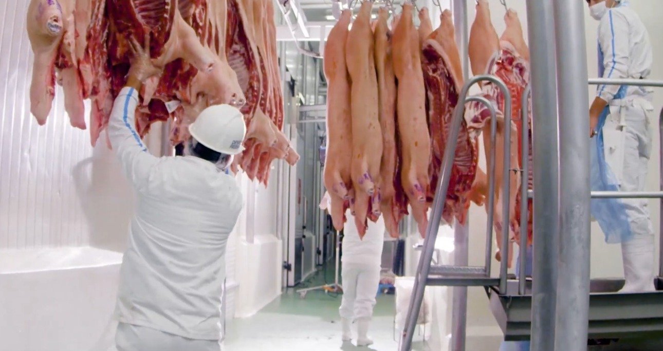 Taiwan je konsolidovaný ako hlavný cieľ Paraguayan Pork - Power - Digital Noviny