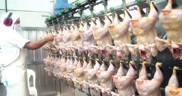 Paraguaj dokončil svoju prvú dodávku hydinového mäsa na Filipíny